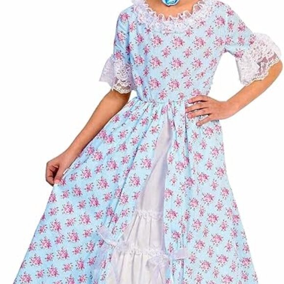 Other - Girls' Historical Early American Lady Pink & Blue Dress Costume Size Medium 8/10